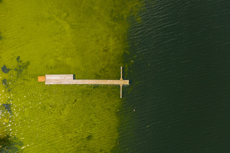 DJI_0449