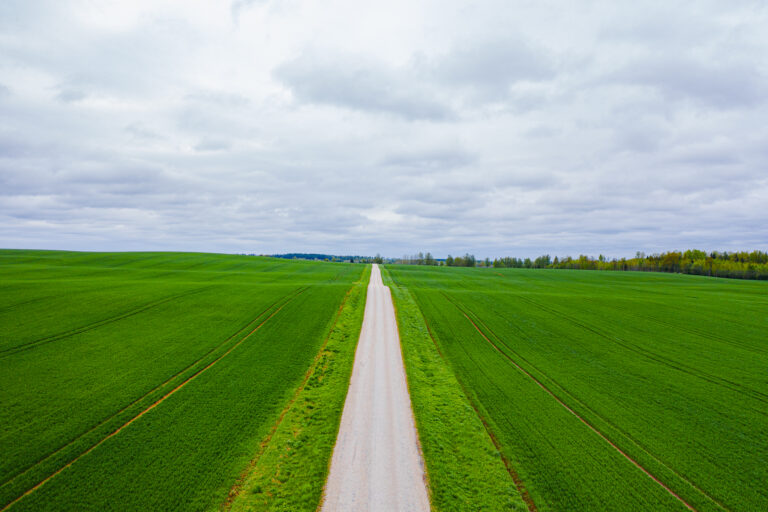 DJI_0337